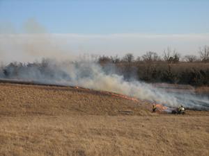 brush burning